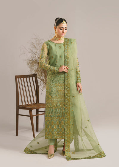 Akbar Aslam Fareena organza formal suit