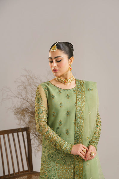 Akbar Aslam Fareena organza formal suit, photo 2
