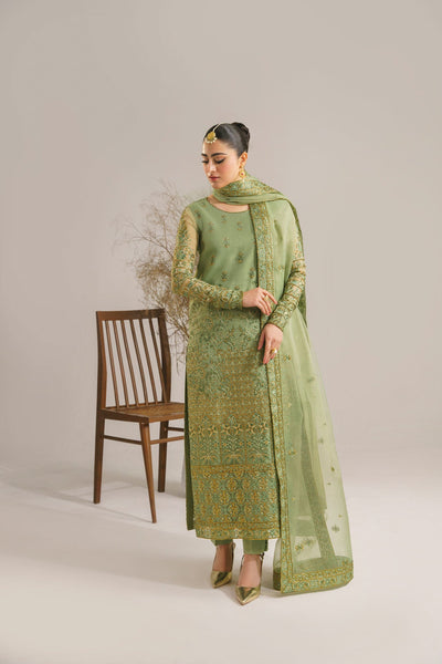 Akbar Aslam Fareena organza formal suit, photo 3