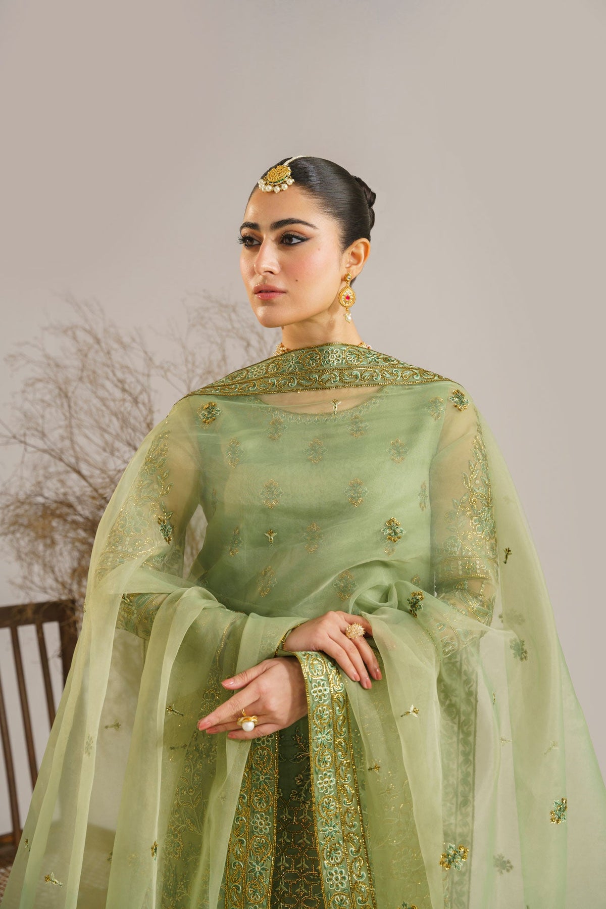 Akbar Aslam Fareena organza formal suit, photo 6