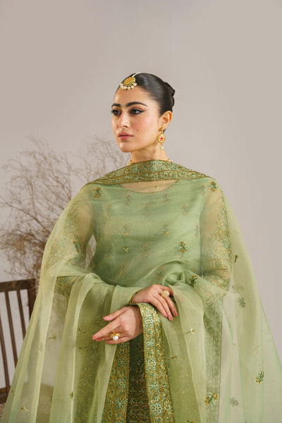 Akbar Aslam Fareena organza formal suit, photo 6