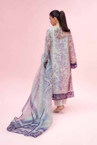 Sania Maskatiya | Summer Festive 26 | Hamra