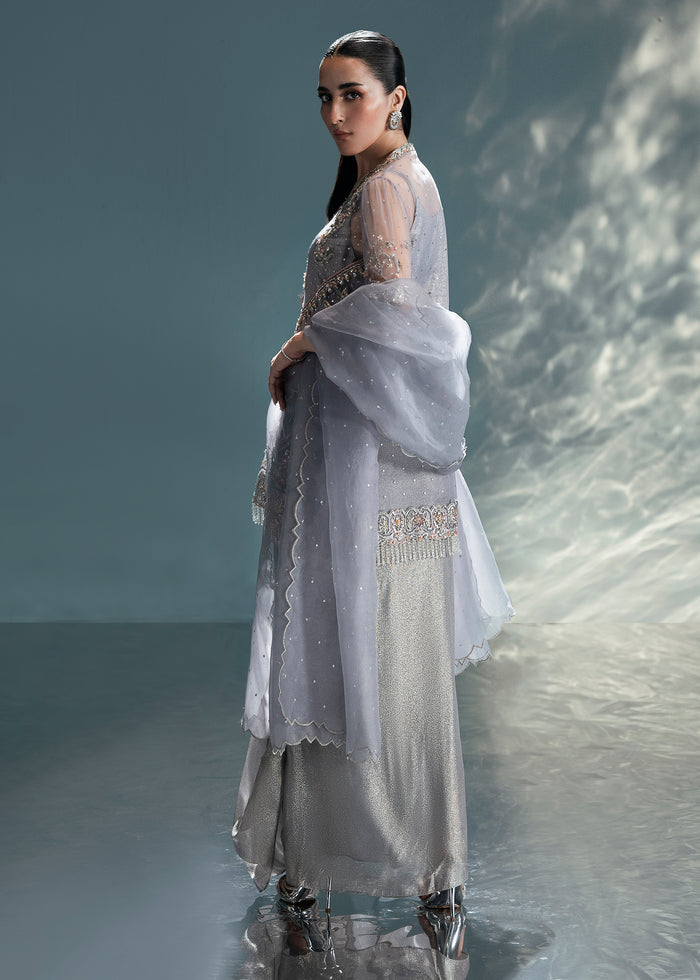 Jeem | Celestial Luxe Formals | DUSTY GREY, image 2