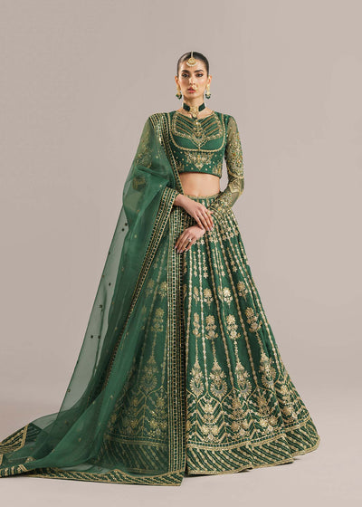 Akbar Aslam Shahul organza lehenga choli
