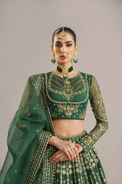 Akbar Aslam Shahul organza lehenga choli, photo 2