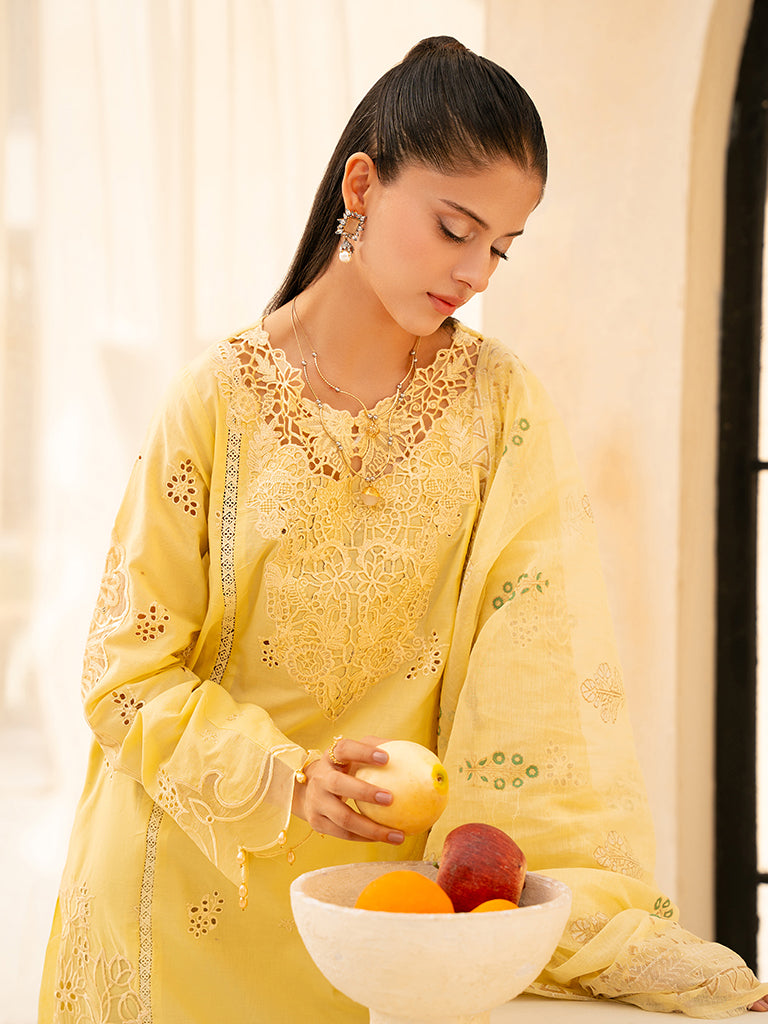 Rajbari | Jahaan Premium Festive Lawn | ORIYA (Jahan) 6-A -  Rajbari Ladies Clothes - Original Designer Dress - House of Maryam