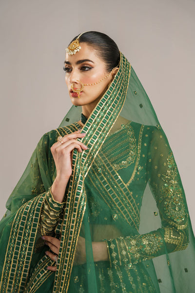 Akbar Aslam Shahul organza lehenga choli, photo 5