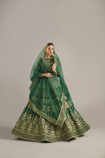 Akbar Aslam Shahul organza lehenga choli, photo 4
