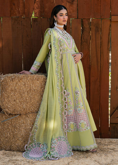 Zarizaa | Aura of Flora | MOSS