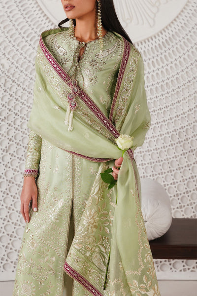 Saad Bin Shahzad | Festive Pret 26 |Reeha