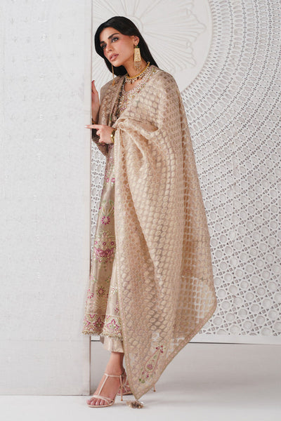 Saad Bin Shahzad | Festive Pret 26 | Zari
