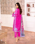 Roheenaz | Aezel Embroidered Cambric | Novah -  Roheenaz Ladies Clothes - Original Designer Dress - House of Maryam