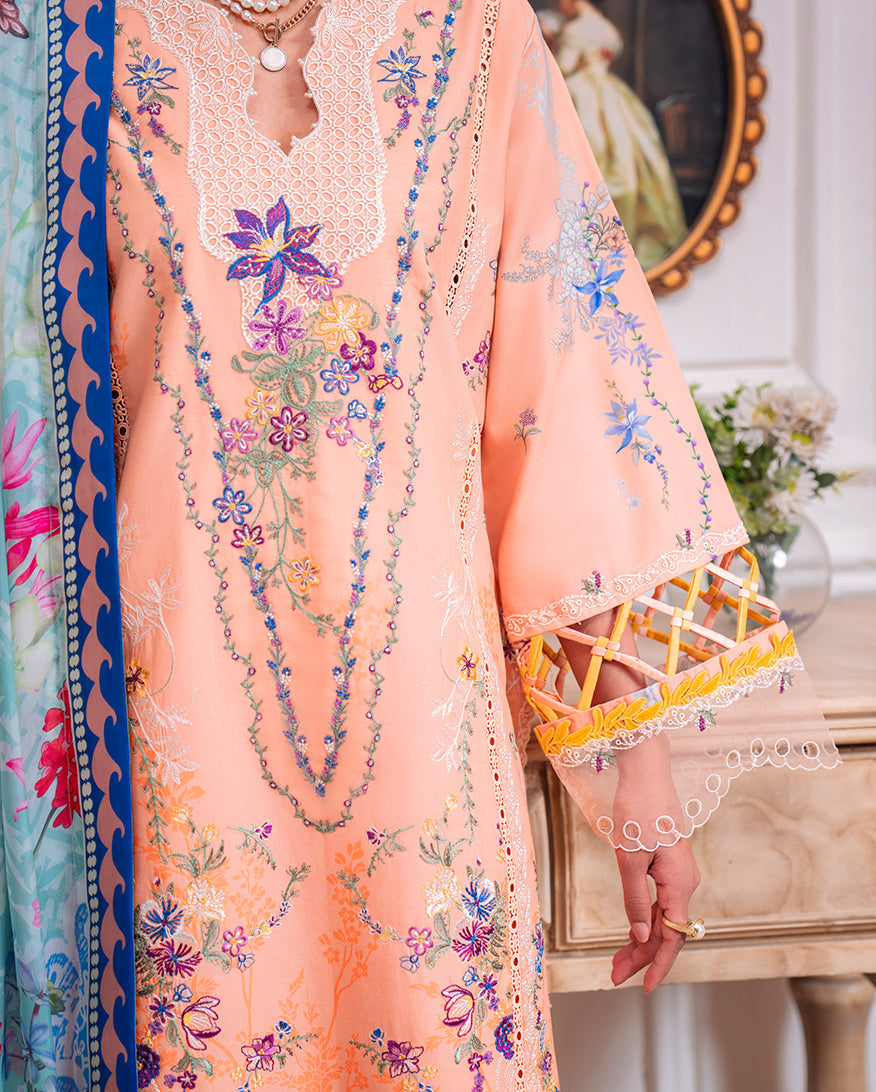 Roheenaz | Aezel Embroidered Cambric | Amal -  Roheenaz Ladies Clothes - Original Designer Dress - House of Maryam