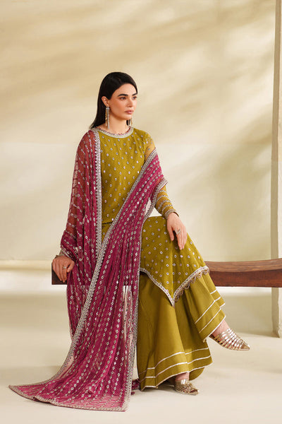 Zarif | Roohi Formals | ZRF-RFE-05 Janeer