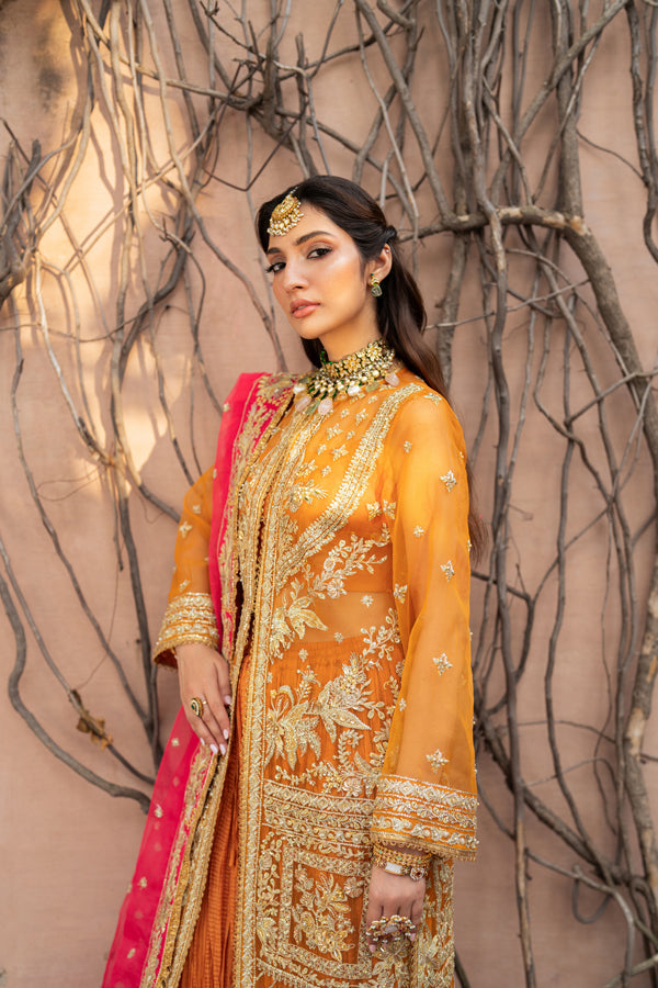 Inara | Shehnaiyaan Wedding Formals | ZEENAT, image 3