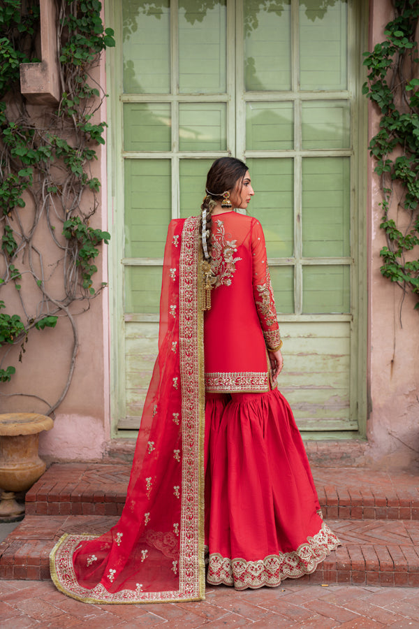 Inara | Shehnaiyaan Wedding Formals | AFREEN, image 2