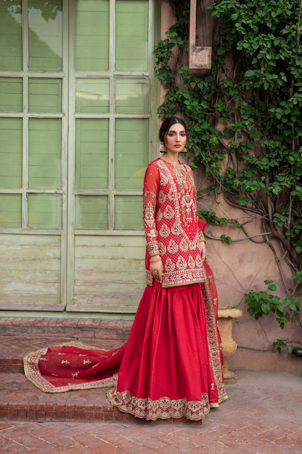 Inara | Shehnaiyaan Wedding Formals | AFREEN, image 4