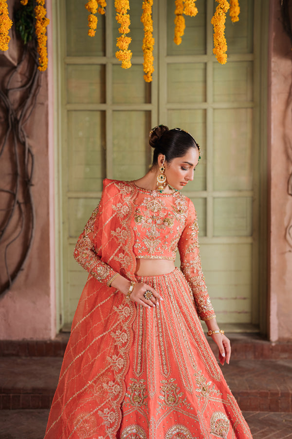 Inara | Shehnaiyaan Wedding Formals | AABIRAH, image 3