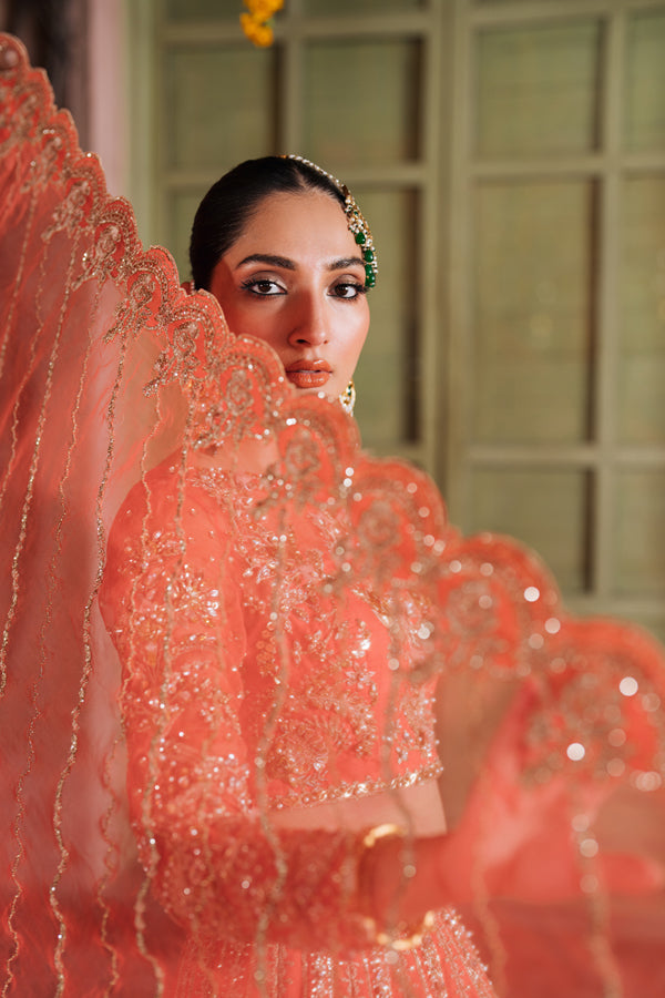 Inara | Shehnaiyaan Wedding Formals | AABIRAH, image 6