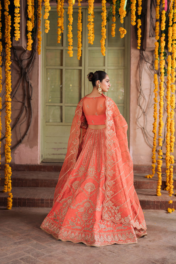 Inara | Shehnaiyaan Wedding Formals | AABIRAH, image 2