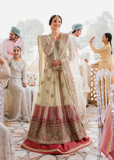 Akbar Aslam Kaneel net formal frock, photo 6