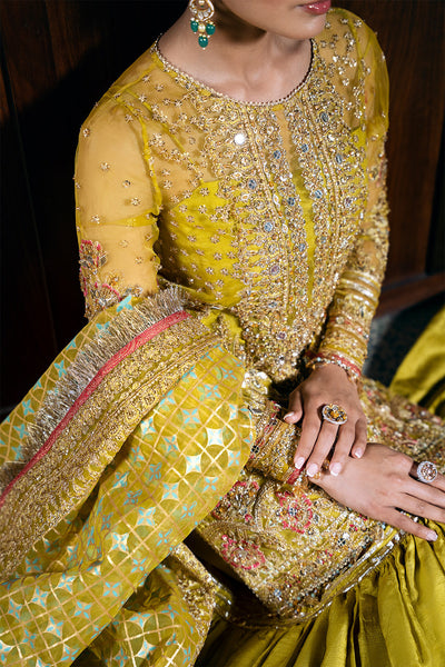 Saira Rizwan | Festive Formals 24 | SERA-SRF-D-08 -  Saira Rizwan Ladies Clothes - Original Designer Dress - House of Maryam
