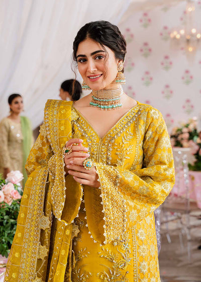Akbar Aslam Meena organza shirt and lehenga, photo 2