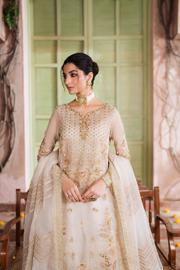 Inara | Shehnaiyaan Wedding Formals | DILNAZ, image 3