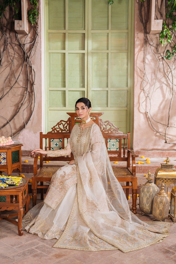 Inara | Shehnaiyaan Wedding Formals | DILNAZ-6