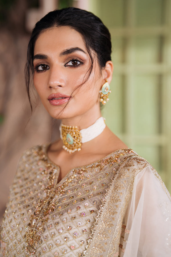 Inara | Shehnaiyaan Wedding Formals | DILNAZ, image 5
