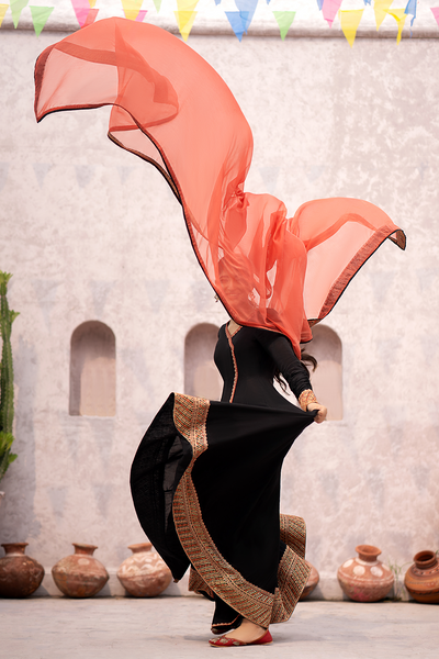 Erum Khan | Sakhiyan Formals | CHAMELI -  Erum Khan Formal - Original Designer Dress - House of Maryam