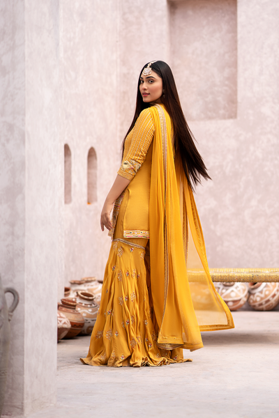 Erum Khan | Sakhiyan Formals | GENDA -  Erum Khan Formal - Original Designer Dress - House of Maryam