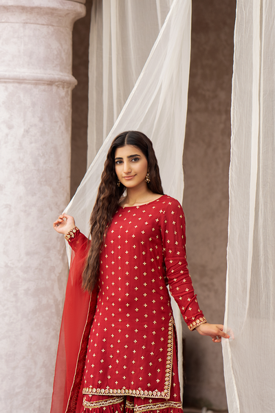Erum Khan | Sakhiyan Formals | GULAB -  Erum Khan Formal - Original Designer Dress - House of Maryam