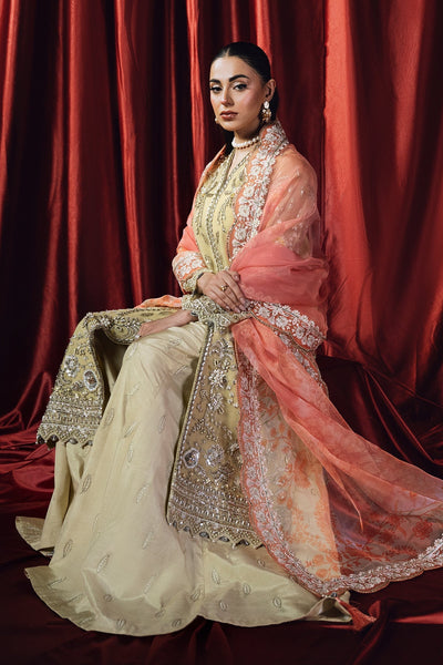 Mina Kashif | Kahani Formals | Rubab -  Mina Kashif Ladies Clothes - Original Designer Dress - House of Maryam