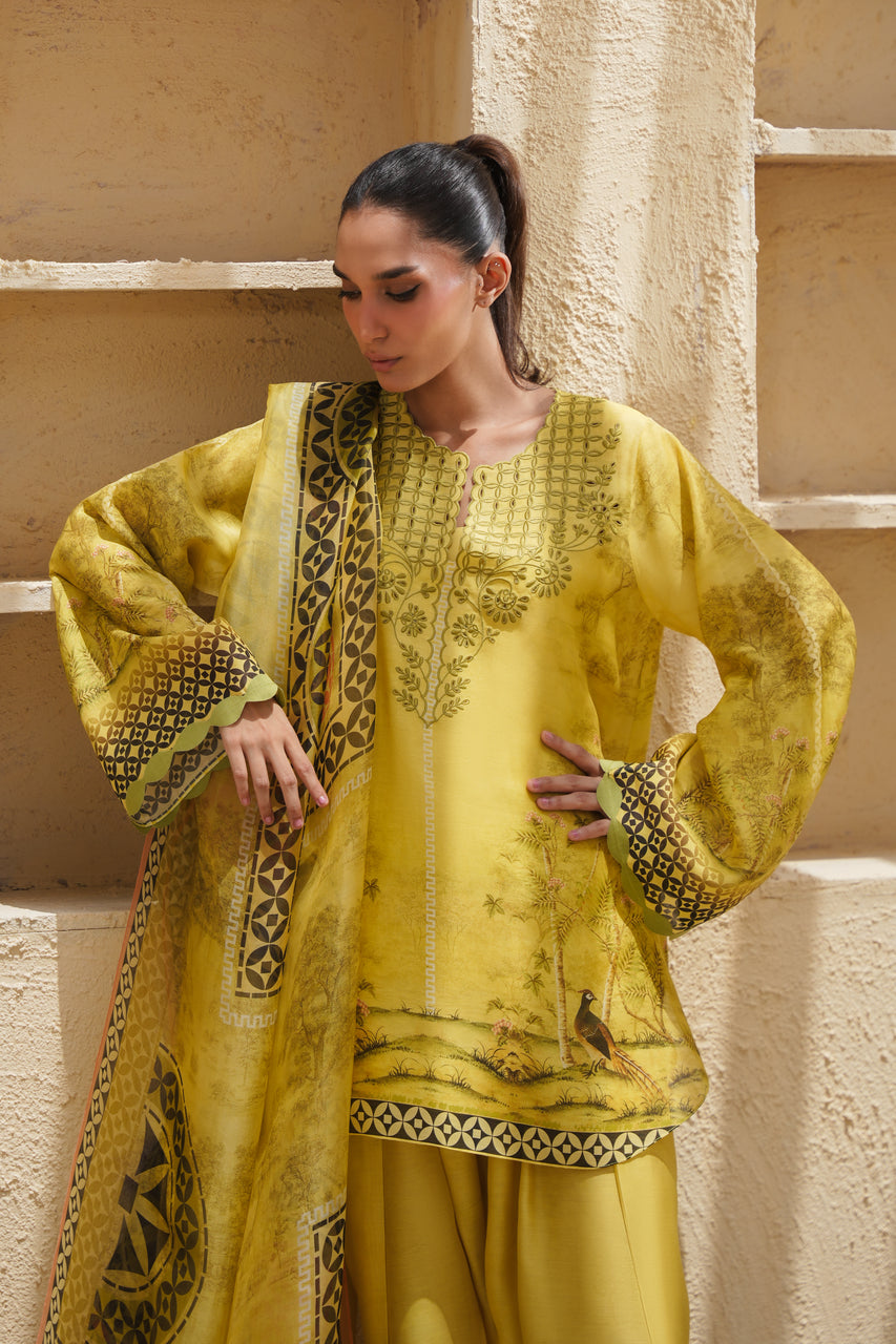 Sania Maskatiya | Eid ul Adha Edit | Sena, image 4