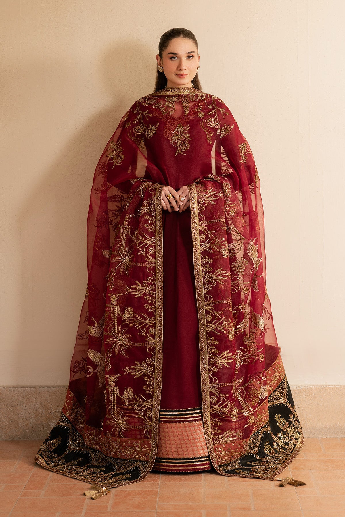 Alizeh | Ready to wear | Maroon Dress 3 piece - RTW1024, image 3
