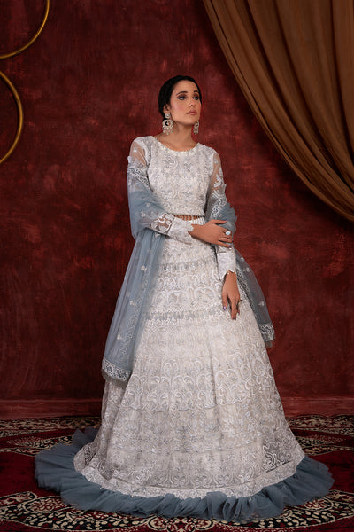 House of Nawab | Luxury Formals | GULCIN by Designer House of Nawab - House of Maryam - Pakistani Designer Ethnic Wear in {{ shop.shopifyCountryName }}