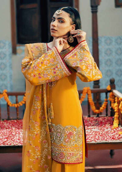 Jamnii | Noor e Nazakat | Rang-e-Mehfil -  Jamnii Ladies Clothes - Original Designer Dress - House of Maryam