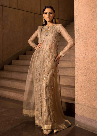 Mahum Asad | Dream a Little Dream of Me | Shimmer -  Mahum Asad Ladies Clothes - Original Designer Dress - House of Maryam