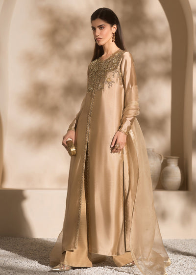 Mahum Asad | Breaking the Bar | Charm -  Mahum Asad Ladies Clothes - Original Designer Dress - House of Maryam