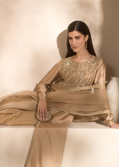 Mahum Asad | Breaking the Bar | Charm -  Mahum Asad Ladies Clothes - Original Designer Dress - House of Maryam