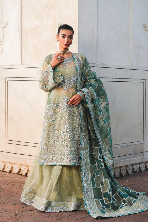Raeesa Premium | Zauj Formals 25 | AAK - 06-4