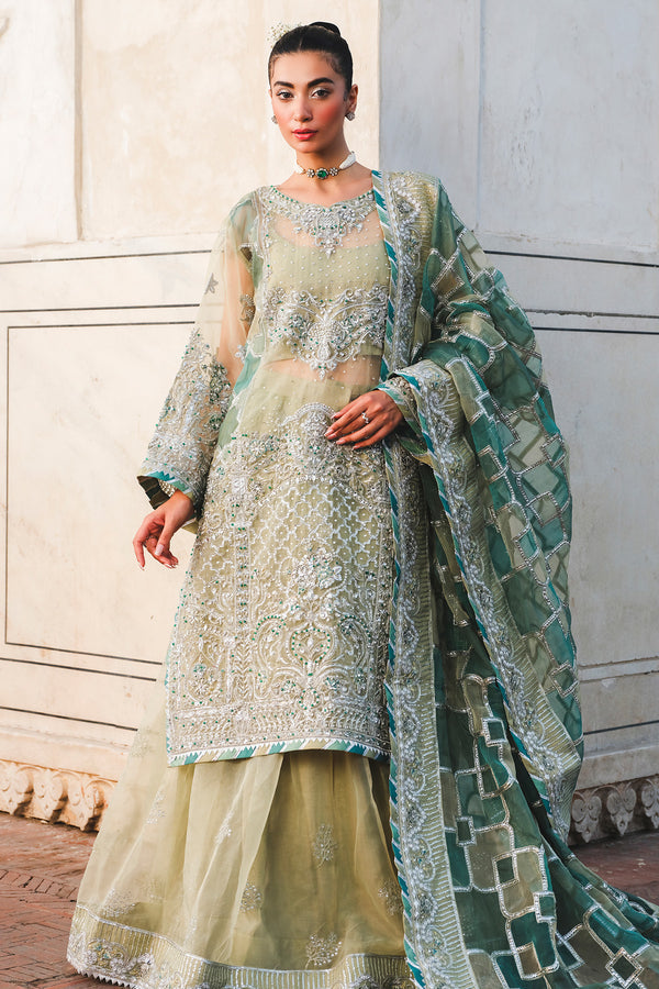 Raeesa Premium | Zauj Formals 25 | AAK - 06-5