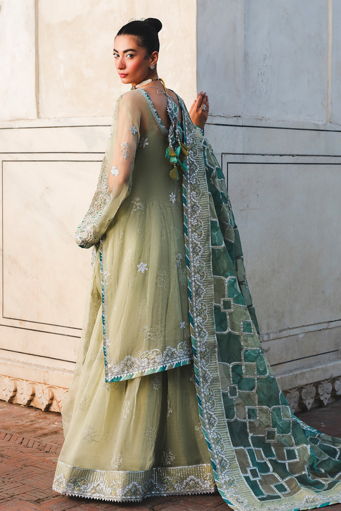 Raeesa Premium | Zauj Formals | AAK - 06