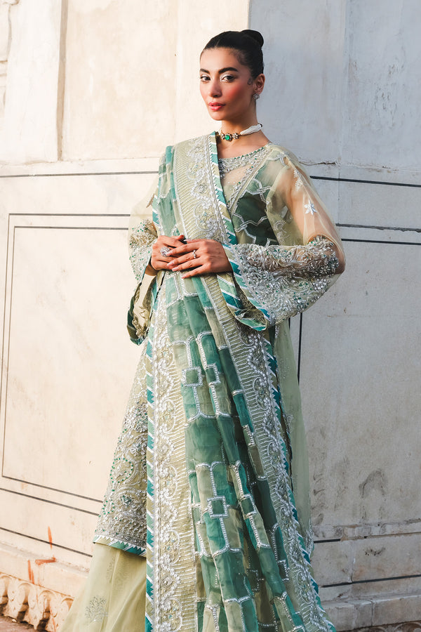 Raeesa Premium | Zauj Formals 25 | AAK - 06-3