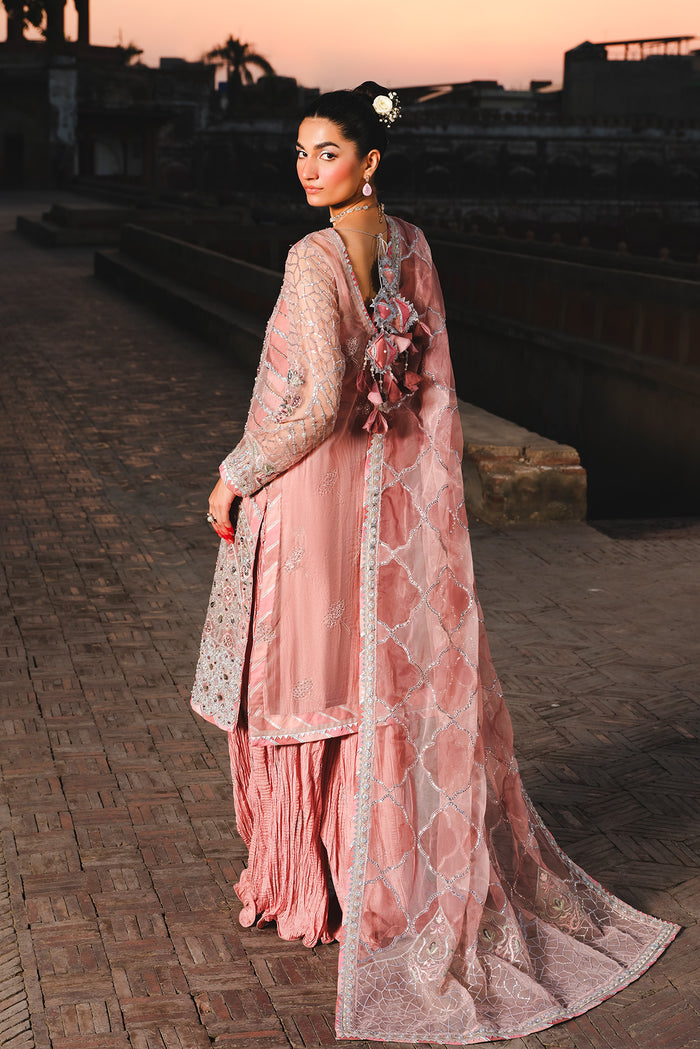 Raeesa Premium | Zauj Formals | AAK - 03