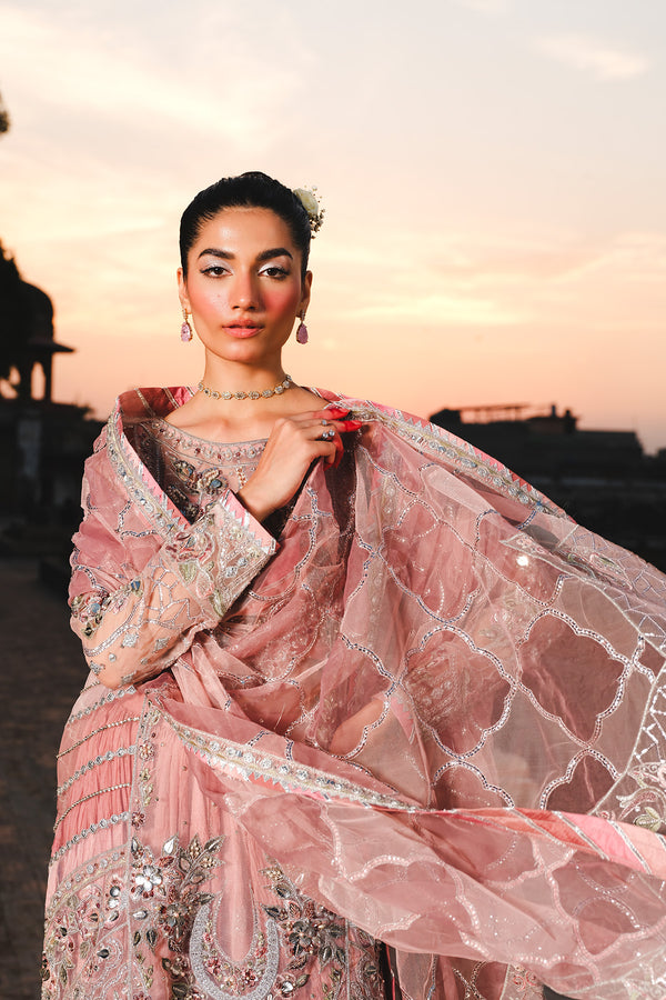 Raeesa Premium | Zauj Formals 25 | AAK - 03, image 5
