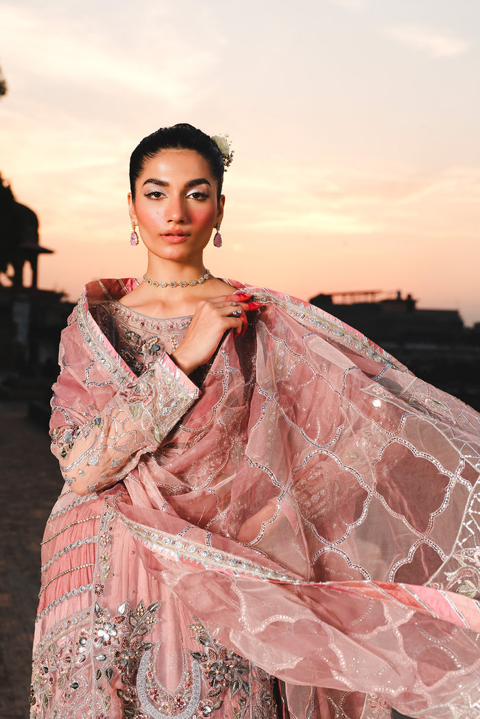 Raeesa Premium | Zauj Formals | AAK - 03-6