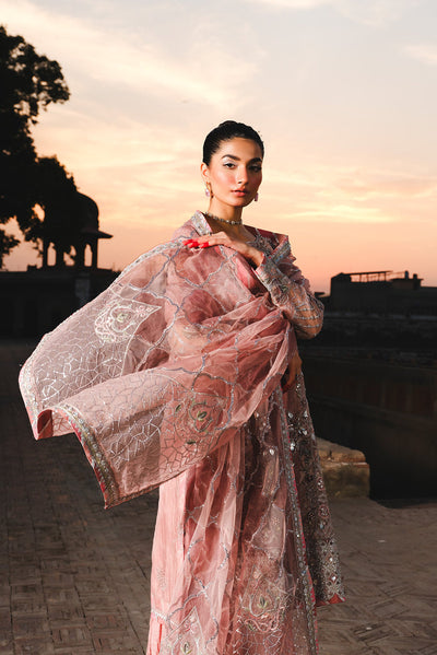 Raeesa Premium | Zauj Formals | AAK - 03