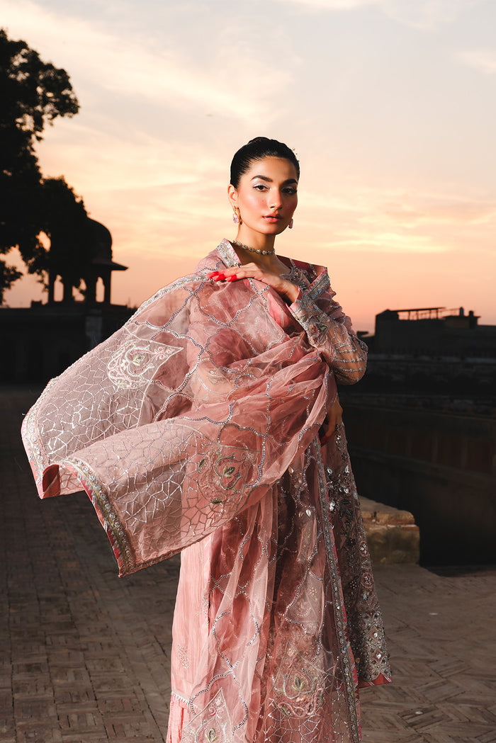 Raeesa Premium | Zauj Formals | AAK - 03-4